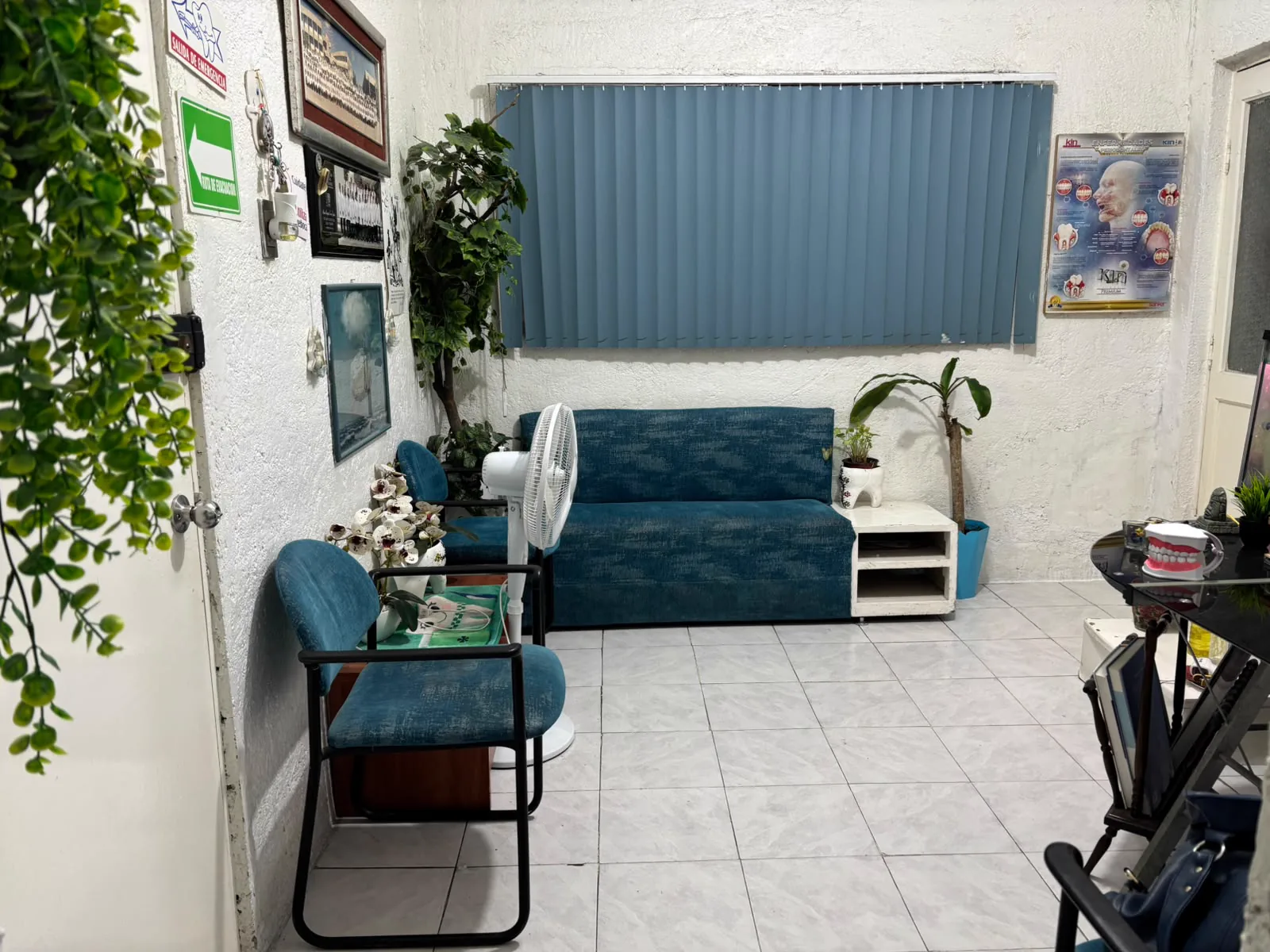 Sala de espera de Dental Anfradent con sofá y plantas